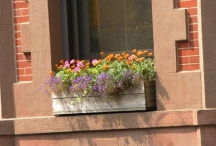 Bồn hoa cửa sổ: giải pháp hoàn hảo cho không gian hẹp